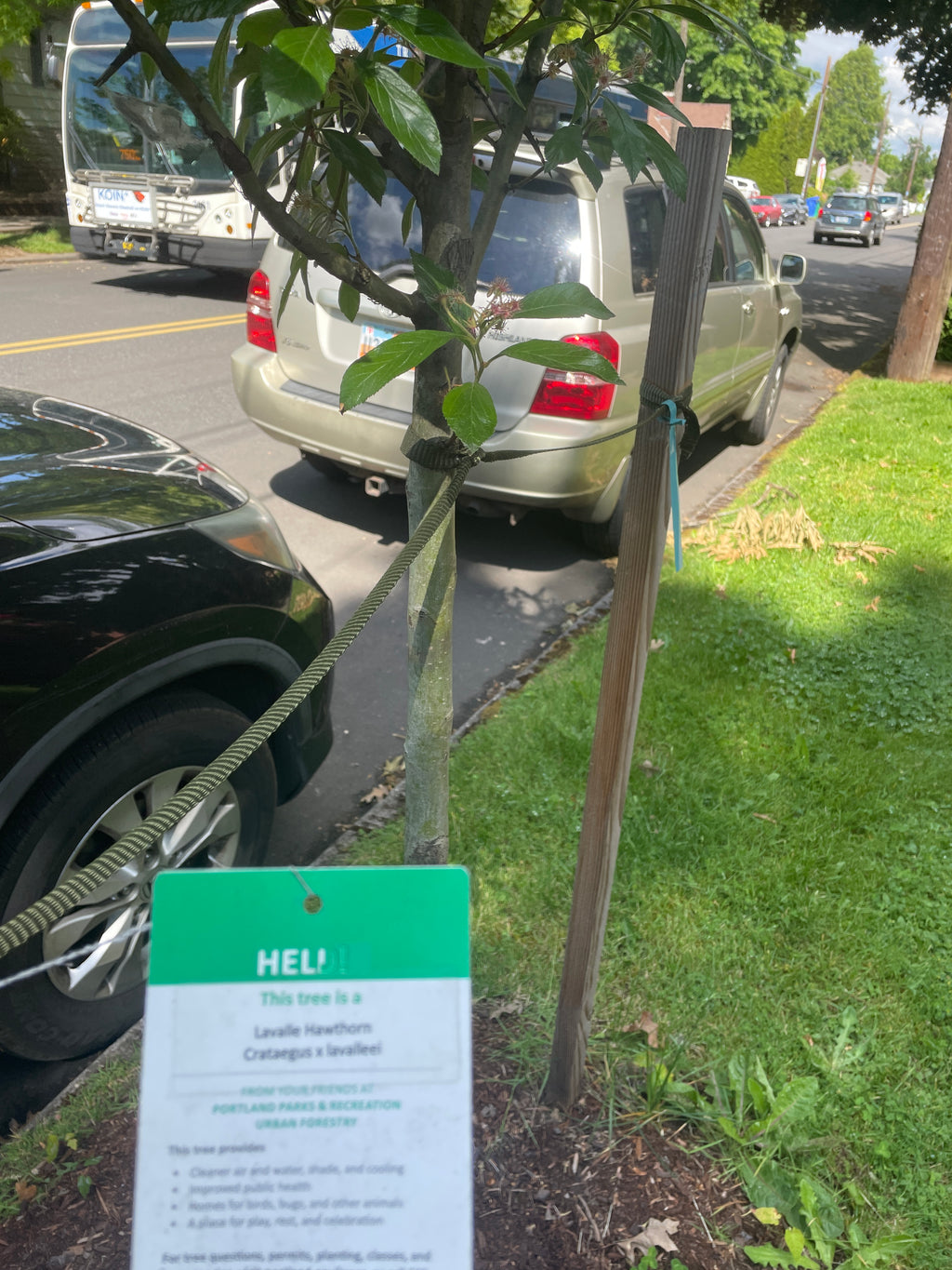 Total Annual Carbon Removal