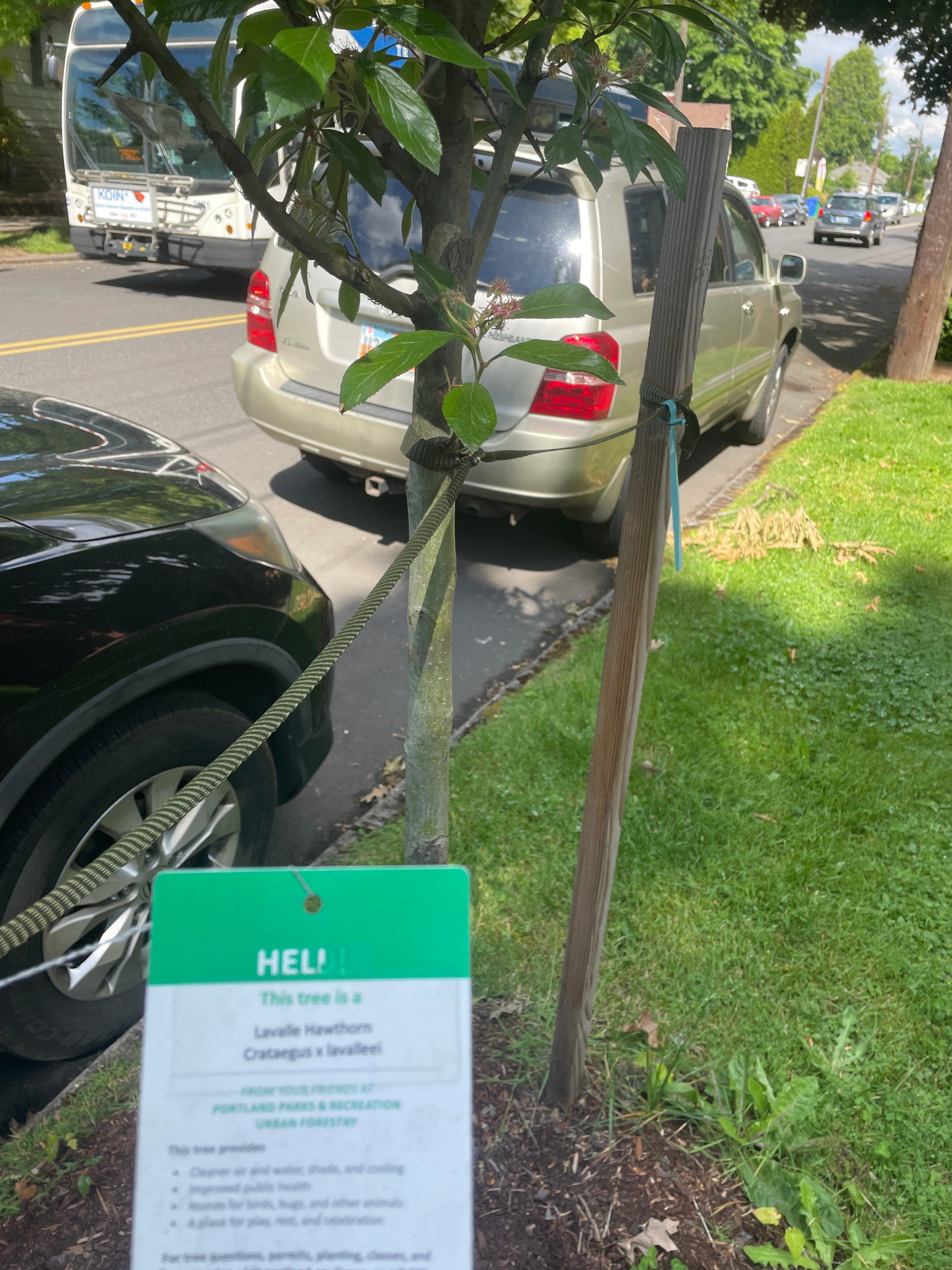 Total Annual Carbon Removal