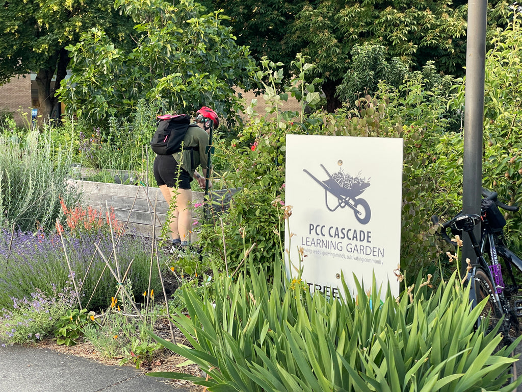 Total Annual Carbon Removal