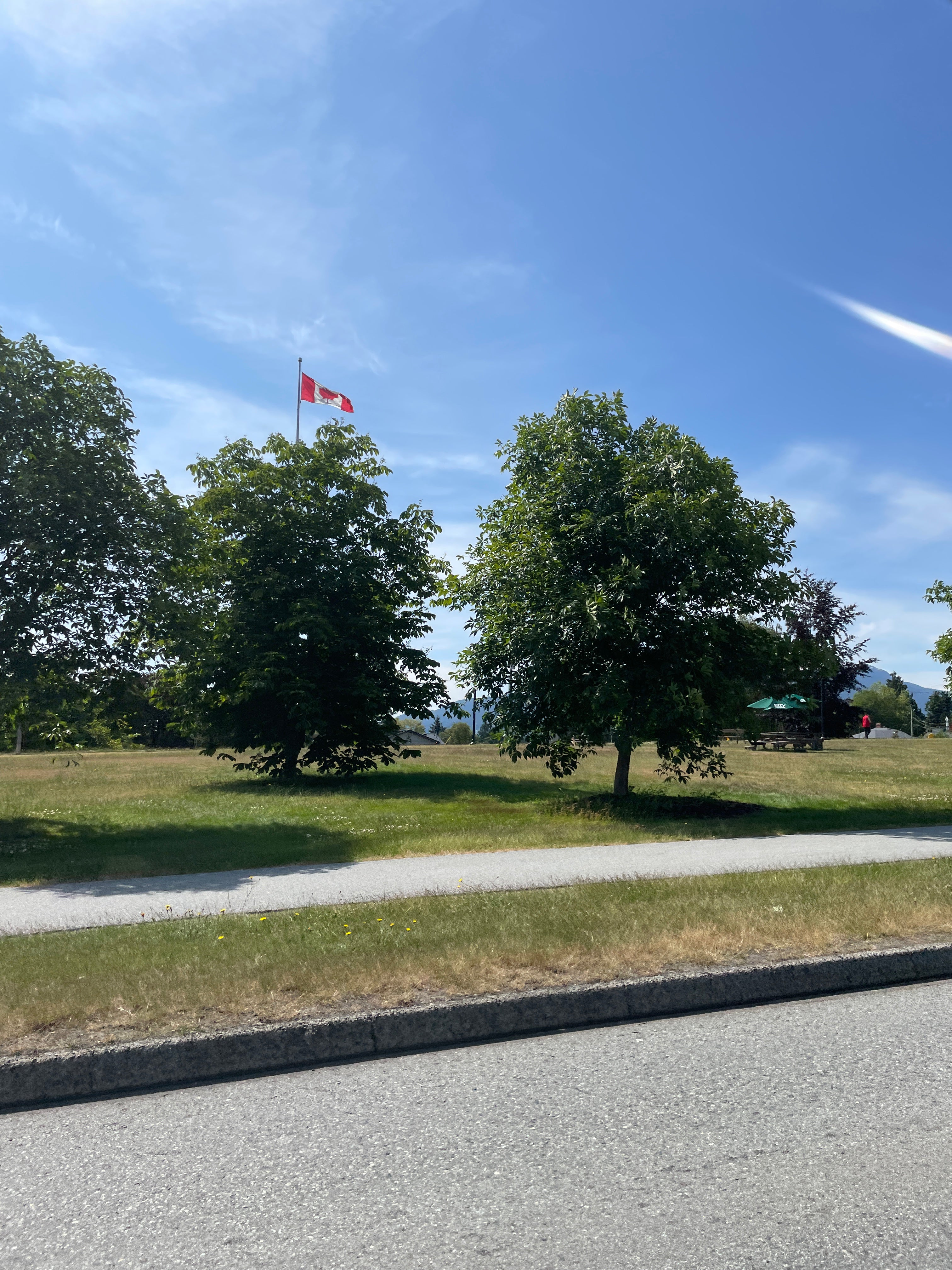 Total Annual Carbon Removal